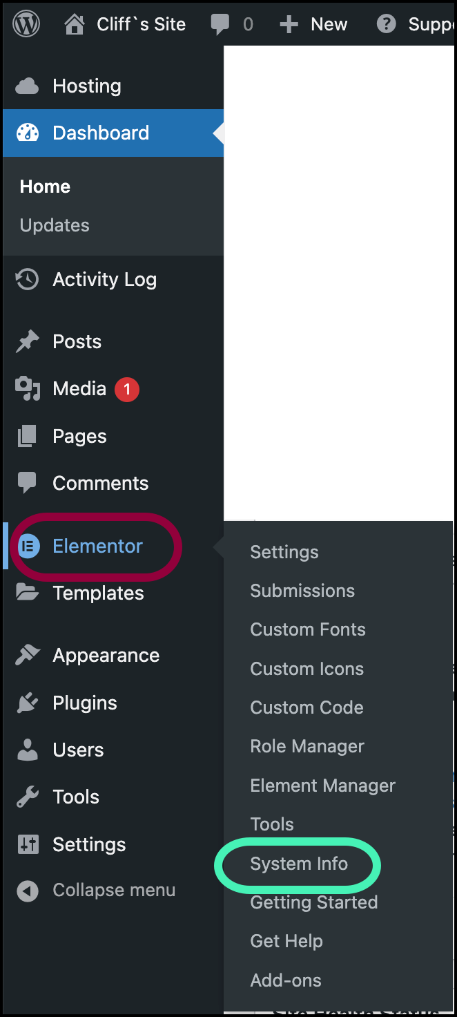 Elementor System info Elementor widget panel not loading 2